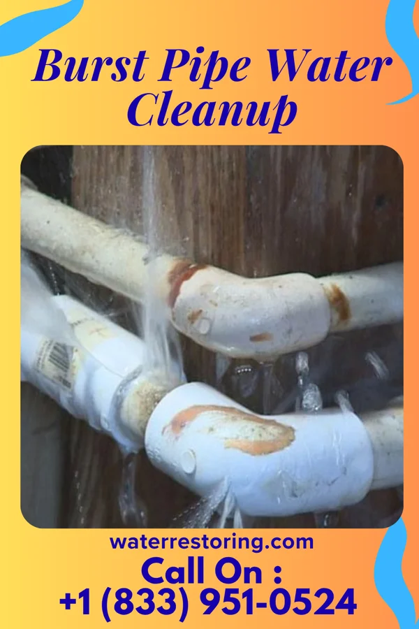 Burst Pipe Water Cleanup in New Stanton, PA
