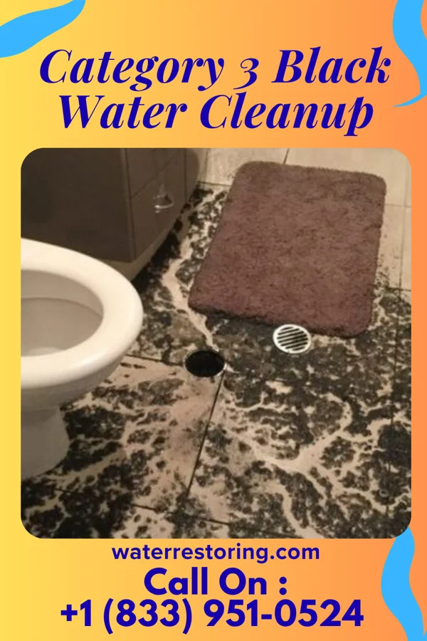 Category 3 Black Water Cleanup in New Stanton, PA