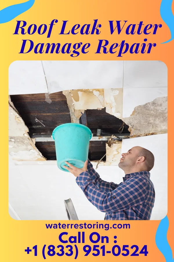 Roof Leak Water Damage Repair in New Stanton, PA