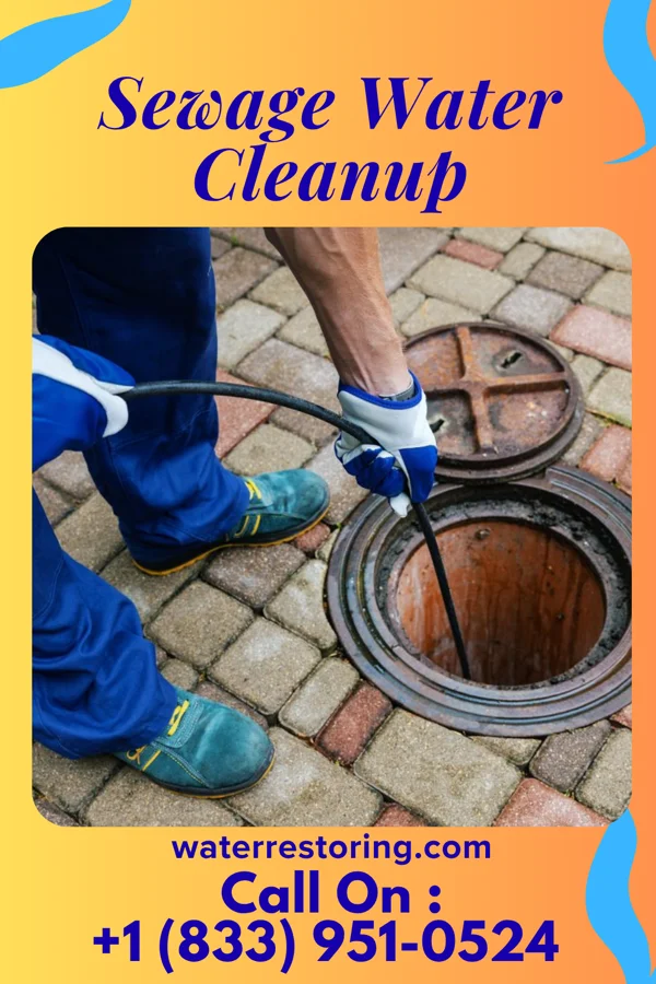 Sewage Water Cleanup in New Stanton, PA