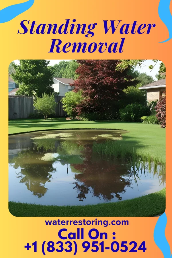 Standing Water Removal in New Stanton, PA